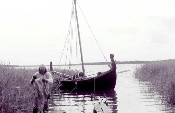 BALTIC SNAKES