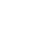 PROTEAN logo