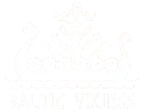 BALTIC VIKINGS logo