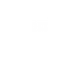 CELTIBEERIAN logo