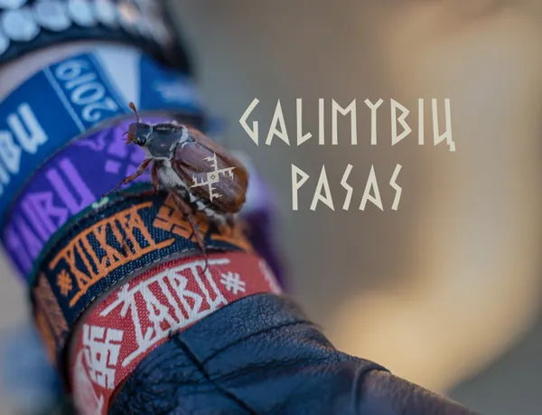 GALIMYBIŲ PASAS