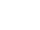 PARTIZANAS logo