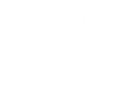 PARTIZANAS logo