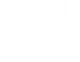 PARTIZANAS logo