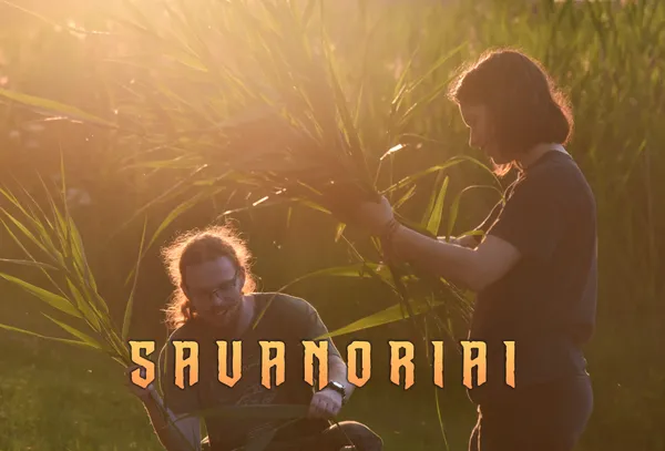 Festivalis KILKIM ŽAIBU XXV skelbia savanorių atranką!