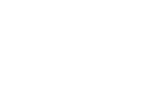 VIOLENT MAGIC ORCHESTRA logo