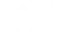 VIOLENT MAGIC ORCHESTRA logo