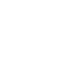 PARTIZANAS logo